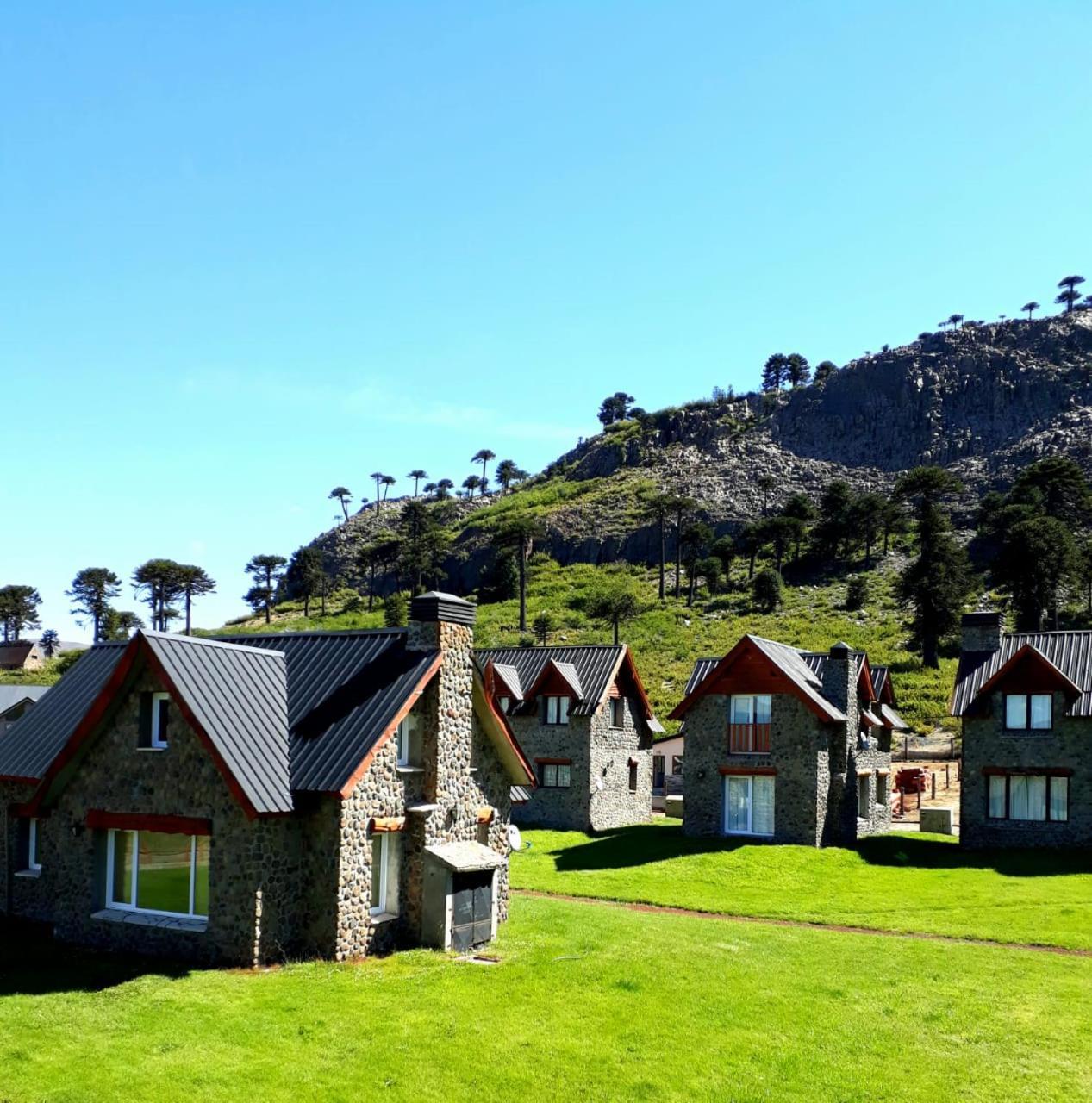 Cabanas Patagonia Village Caviahue Buitenkant foto